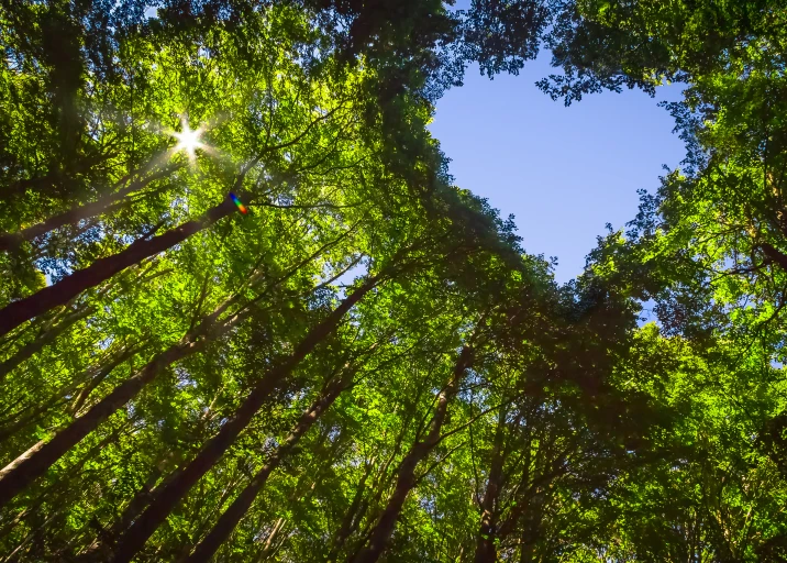 Sustainability communications and marketing